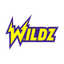 مكافأة ترحيب Wildz